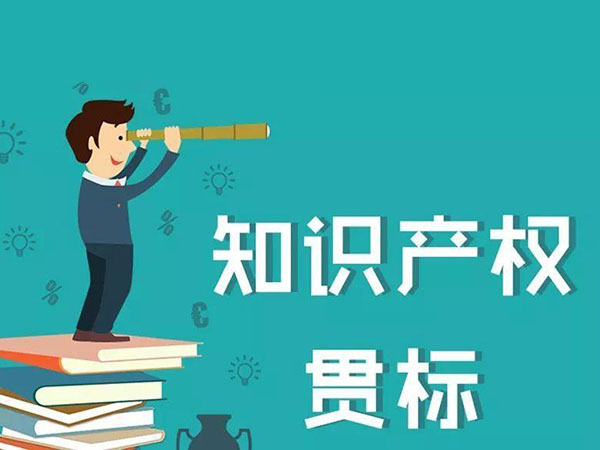GB/T29490知识产权管理体系认证